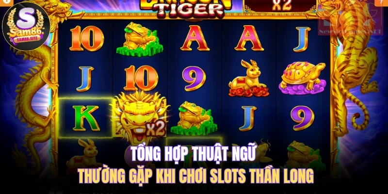 Tổng hợp thuật ngữ thường gặp khi chơi slots thần long